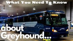 8 Greyhound Bus Tips Ideas Greyhound Bus Greyhound Bus