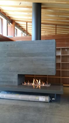 56 Best 3 Sided Fireplace Images Fireplace Design Living Room