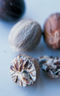 Nutmeg Insurance Agency Phone Number