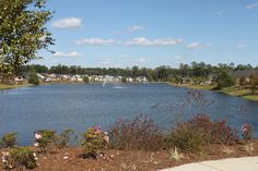 25 Best Emmens Preserve Images Myrtle Beach State Park Public 25 Best Emmens Preserve Images Myrtle