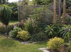 Coleman Pare-brise brise-vent XL