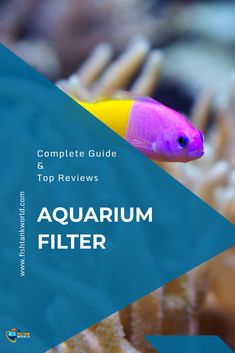 101 best aquarium filter