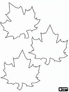 Best Plants And Leaves Coloring Pages