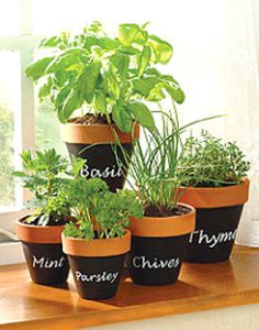 9 herb garden ideas - how to plant | cocktail glass and herbs 9 herb garden ideas - how to plant | cocktail glass and herbs
