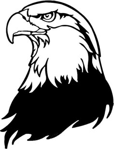 44 images of eagle