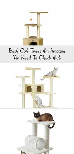 900 Cat Playgrounds Ideas Cat Playground Outdoor Cats Playground