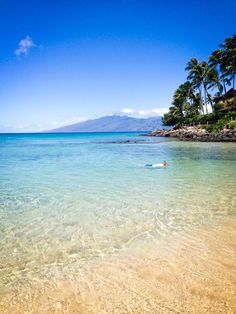 Partnersuche hawaii