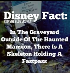 300 best disney fun facts images on pinterest disney magic disney