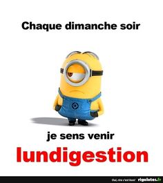 10 Idees De Dimanche Citation Dimanche Citation Citation Dimanche Humour 10 Idees De Dimanche Citation Dimanche Citation Citation Dimanche Humour