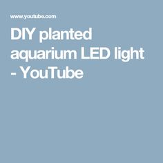 163 best aquarium keeping