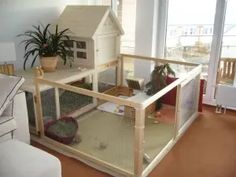 710 Rabbit ideas in 2024 dog pen pet gate dog playpen