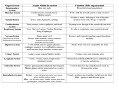 body systems chart