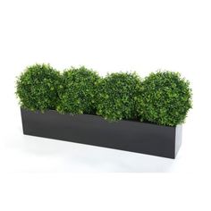 12 Best Artificial Window Bo And Troughs Images Outdoor Plants