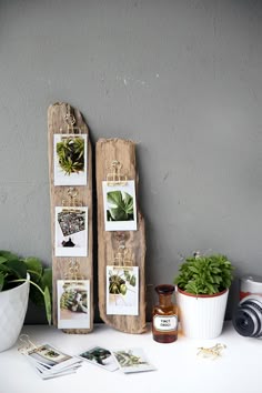 Die 100 besten Bilder zu Vintage Holz in 2020 | vintage holz Leuke toilet rol houder *diy* | Home decor items, Diy pallet