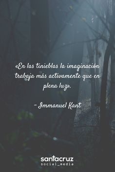 900 Ideas De Frases En 2021 Frases Motivadoras Frases Bonitas Frases