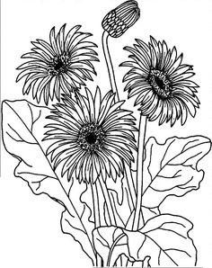 3D Printed T-Shirts Beautiful Gerberas Flower Contour Lines and Strokes Short Sl
