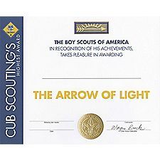 Boy Scout Arrow Of Light