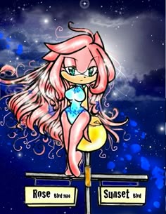 85 best amy rose images on pinterest amy rose hedgehogs and