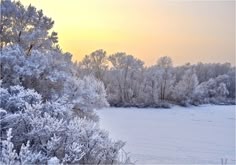 Winter Wonderland Background Winter Wonderland Wallpaper Winter Wonderland Pictures Winter Wallpaper Winter Wonderland Background Winter Wonderland Wallpaper Winter Wonderland Pictures Winter Wallpaper