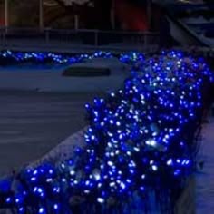 30 best christmas net lights images christmas net lights