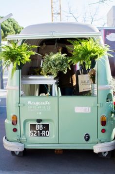 Si Vous Habitez A Montpellier Navez Pas Pu Passer Cote Du Flower Si Vous Habitez A Montpellier Navez Pas Pu Passer Cote Du Flower
