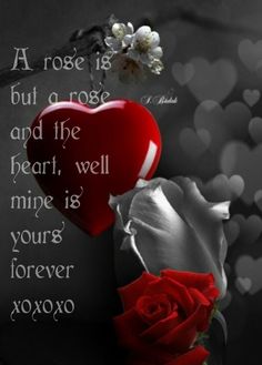 good night love images google search goodnight pinterest