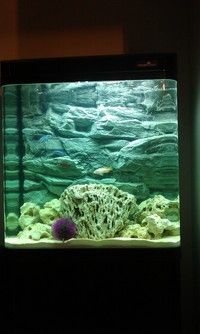 7 best red sea