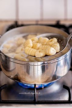 dieta senza farina di cormillote dieta senza farina di cormillote
