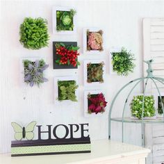 Wall Plant Decor 3d artificial plant simulation flower frame wall decor home garden Wall Plant Decor 3d artificial plant simulation flower frame wall decor home garden