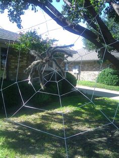 do it yourself giant spider web using clothesline rope easier than you