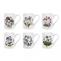 Botanical Garden Tabletops Unlimited Mugs Fl And Erflies Portmeirion Botanic Garden Coffee Mugs Set Of 6
