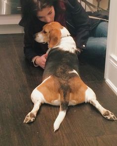 beagles for dummies