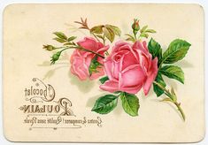 17 Ideas De Transferencias En Madera Transferencias De Imágenes Transfer En Tela Láminas Vintage