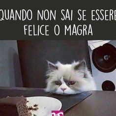 gay asiatico pompini