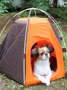 2er Set DEL Lampe Solaire Lampe Camping Portable Jardin Extérieur Living-XXL