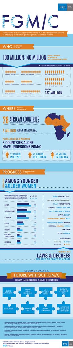 Proposal Essay Topics Examples Female Genital Mutilationcutting Data And Trends Update The Infographic Explains What Topics For Proposal Essays also High School Admissions Essay Best Infographics About Violence Against Women Images Domestic Example Of Thesis Statement For Essay
