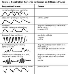 medical abbreviations and symbols respiratory care standard types of breathing patterns