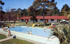 105 Best The Old Myrtle Beach Images On Pinterest Sc The Palms Motor Court Myrtle Beach Sc