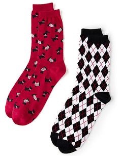 Bichon Frise Dog Breed Pattern #2 Men-Women Adult Ankle Socks Novelty Socks