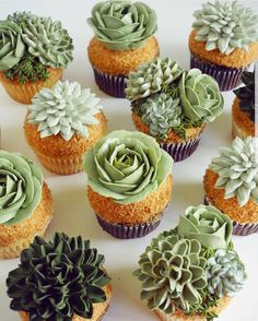 73 best food cupcakes