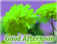 afternoon delight asian gallery Teen heaven board