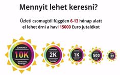 jövedelem üzleti profit internet