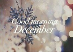 welcome december shared by lucian on we heart it years months we heart it christmas