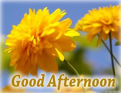 201 best good afternoon images on pinterest in 2018 buen dia good