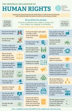 Universal declaration of human rights essay