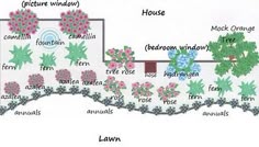 81 Best Garden Ideas Images On Pinterest Potted Plants It S Robyn My Front Garden Flower Bed Plan