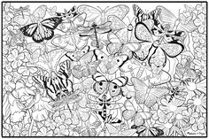523 best butterflies to color images on pinterest coloring pages