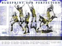 65 best sports team