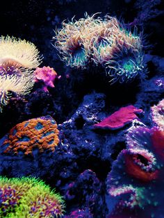 31 best salt water