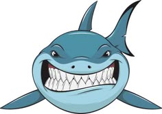 39 best little sharks